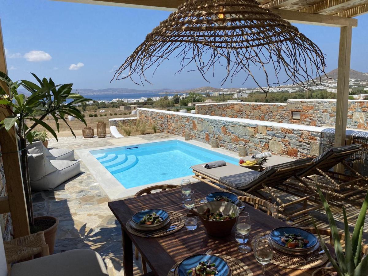 Villa Ypsilon Naxos - Luxury Holiday House With Amazing Sea View & Private Pool Agia Anna  Ngoại thất bức ảnh