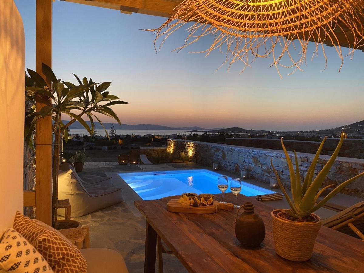Villa Ypsilon Naxos - Luxury Holiday House With Amazing Sea View & Private Pool Agia Anna  Ngoại thất bức ảnh
