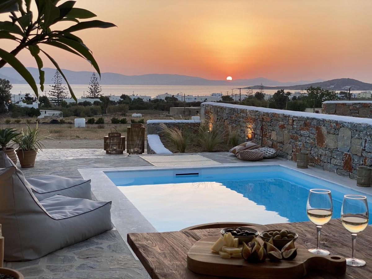 Villa Ypsilon Naxos - Luxury Holiday House With Amazing Sea View & Private Pool Agia Anna  Ngoại thất bức ảnh
