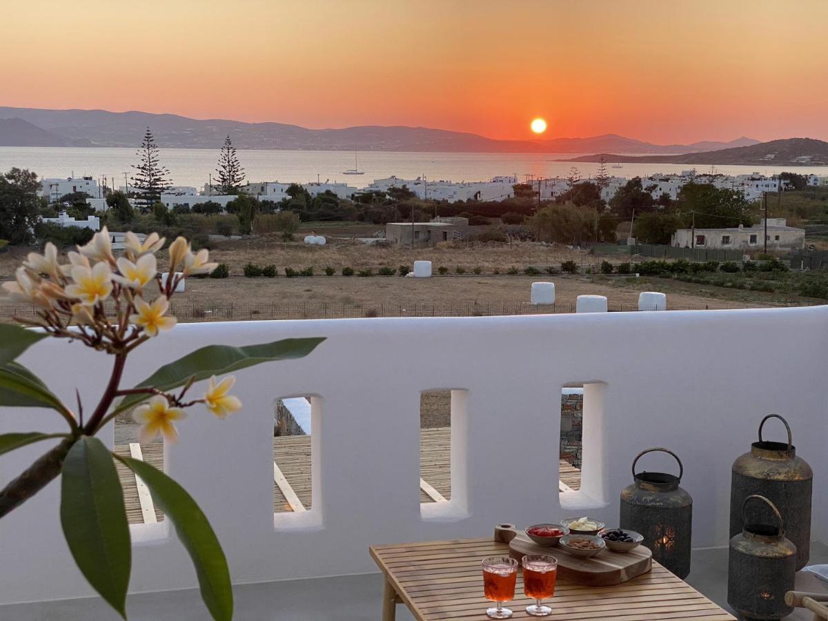 Villa Ypsilon Naxos - Luxury Holiday House With Amazing Sea View & Private Pool Agia Anna  Ngoại thất bức ảnh